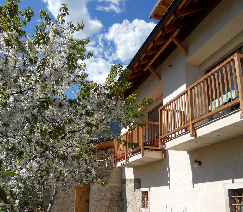 Pizzol-Hof Apartment Appiano Sulla Strada Del Vino Bagian luar foto